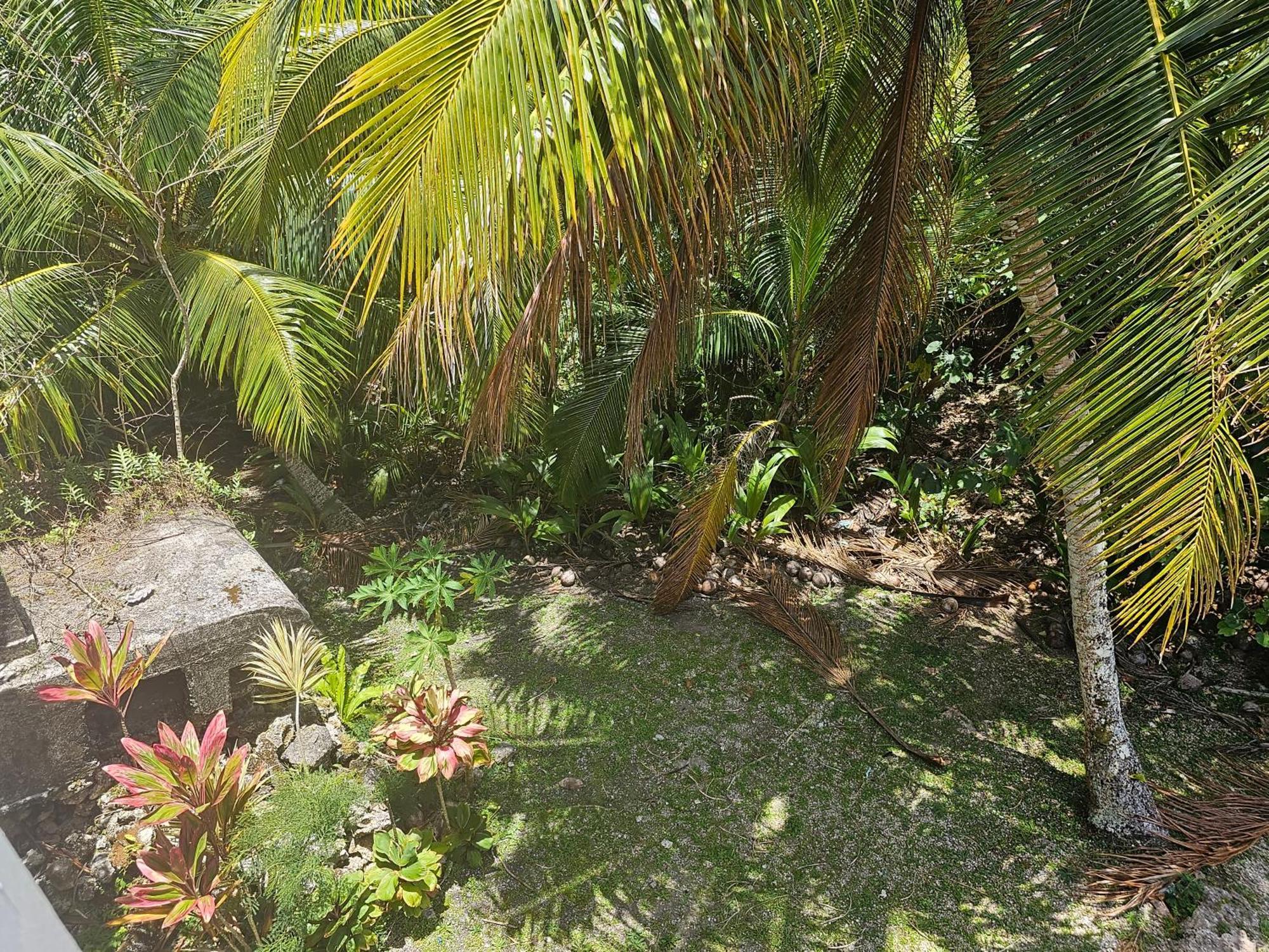 Heleni Jessop'S Fatahega Villa Alofi Exterior foto