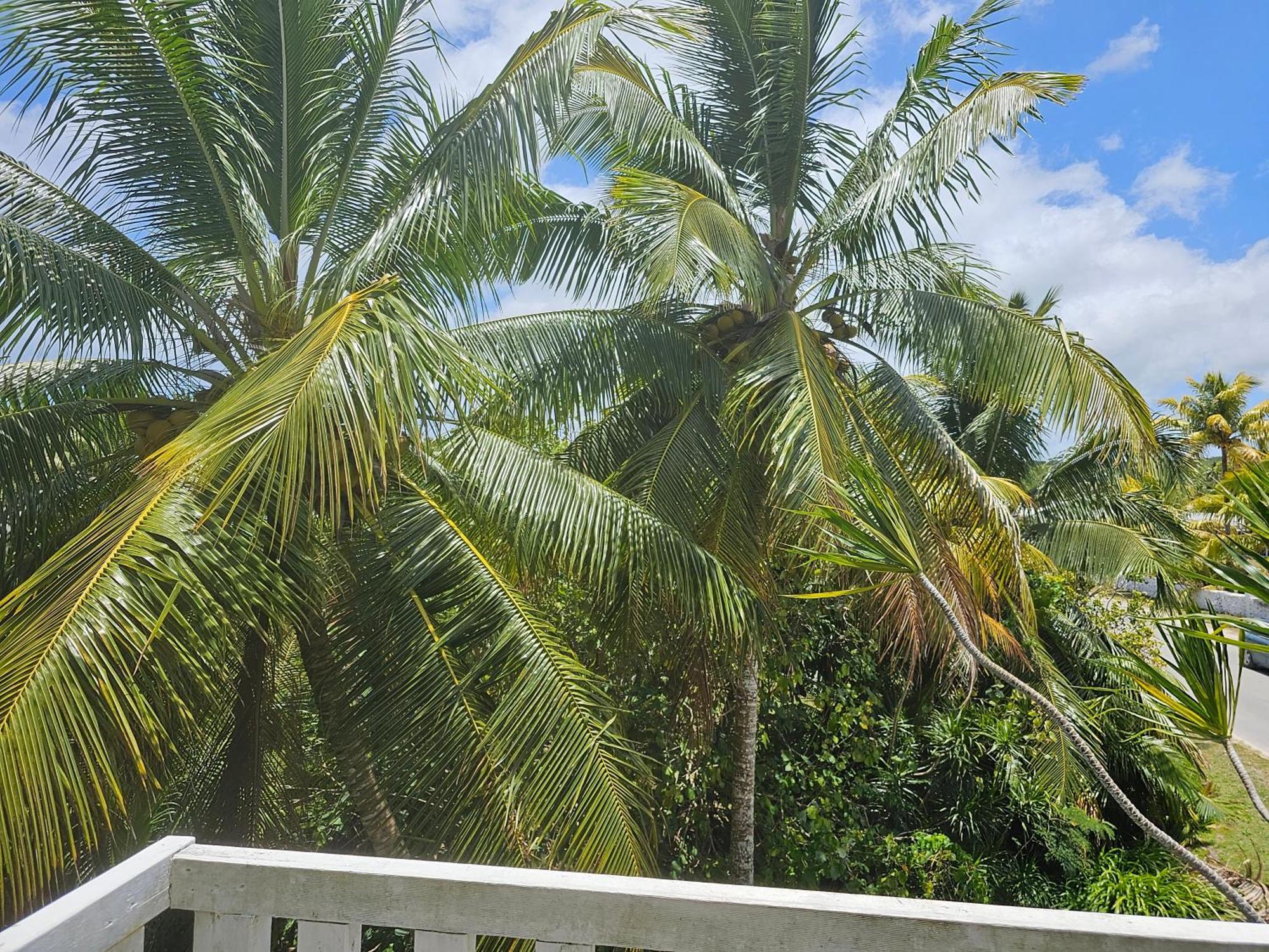 Heleni Jessop'S Fatahega Villa Alofi Exterior foto