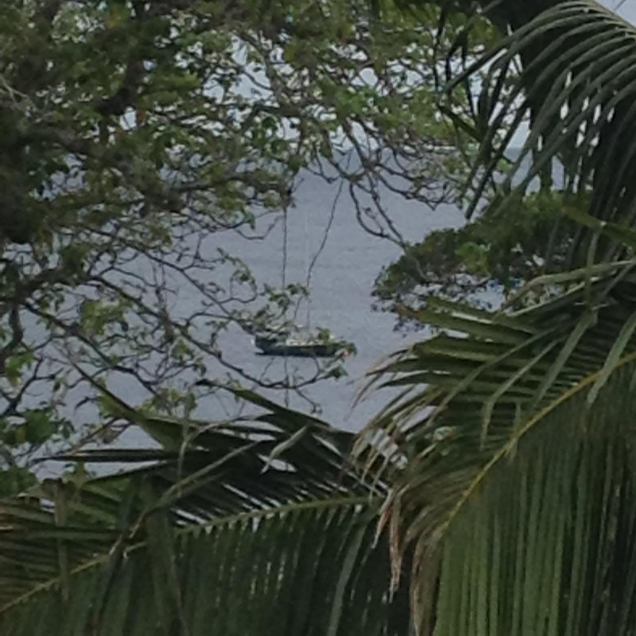 Heleni Jessop'S Fatahega Villa Alofi Exterior foto