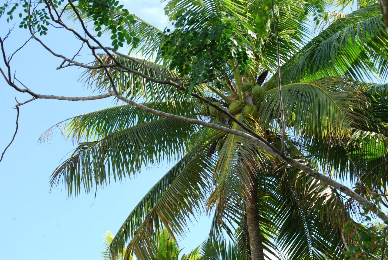 Heleni Jessop'S Fatahega Villa Alofi Exterior foto